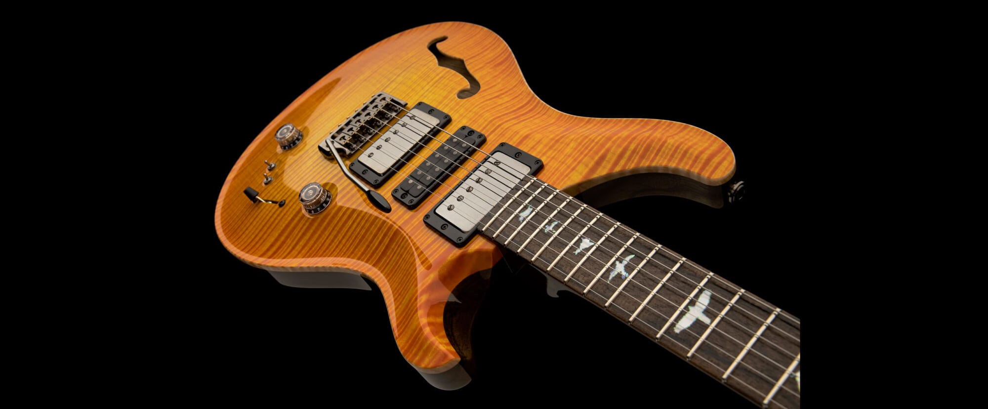 PRSのPrivate Stockより世界で85本のみの限定生産セミ・ホロウ・ギターが登場