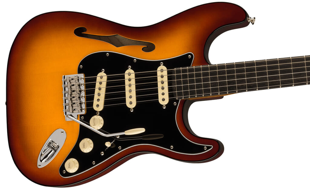 Limited Edition Suona Stratocaster Thinline（ボディ）