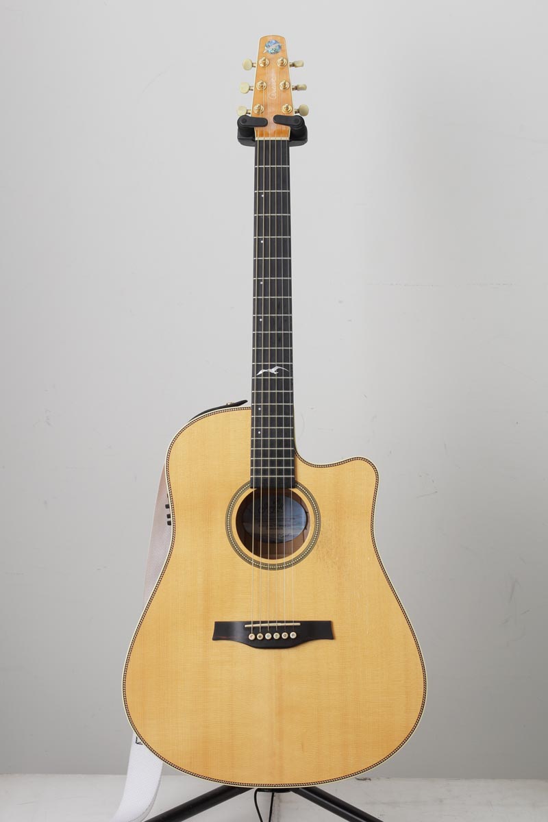 Seagull / Artist Cameo CW QII(正面)