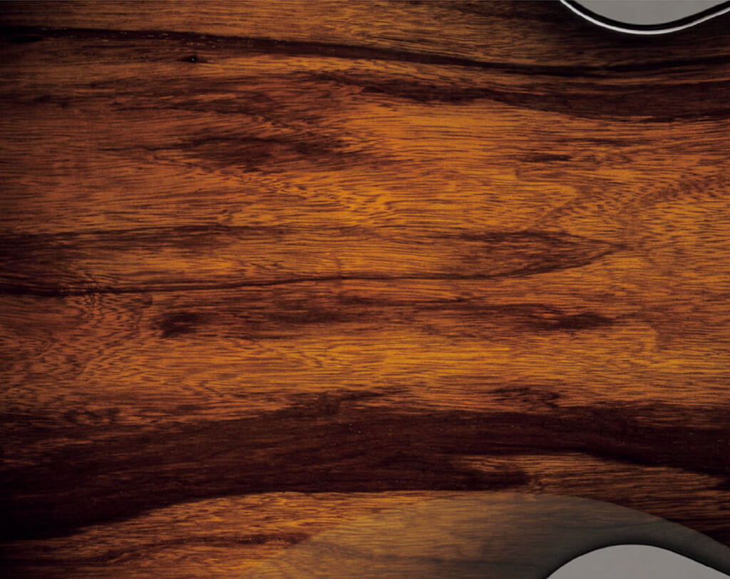 ボディ・バック