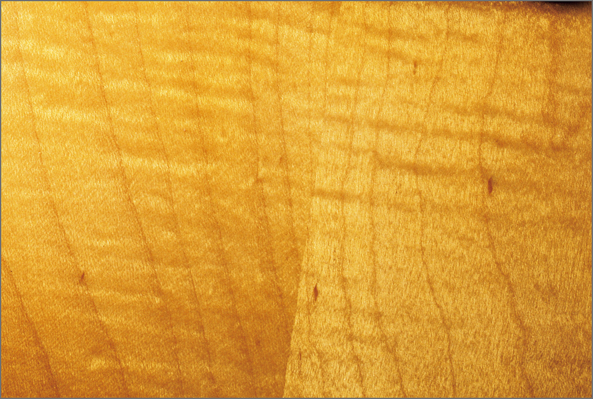 フィギュアド・メイプル・トップの杢目