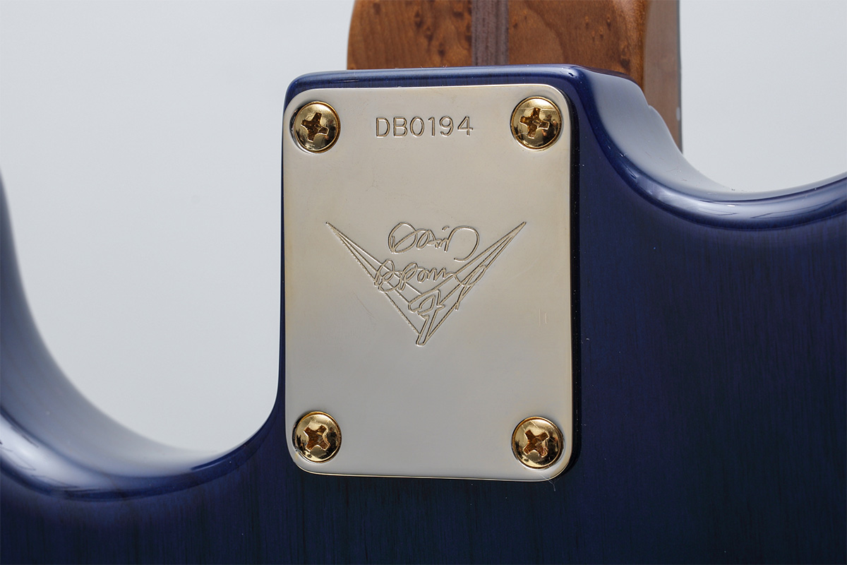 デヴィッド・ブラウンの経歴は、ギター製作を学びテクニシャンとして従事した後、大学でマーケティングの学位も取得するなど多岐にわたる。