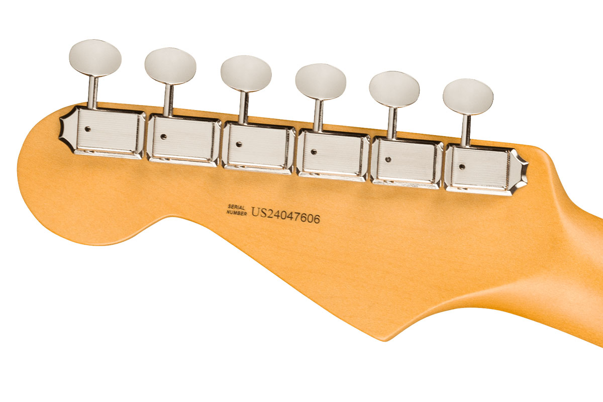 ヘッド（裏側）とチューナー