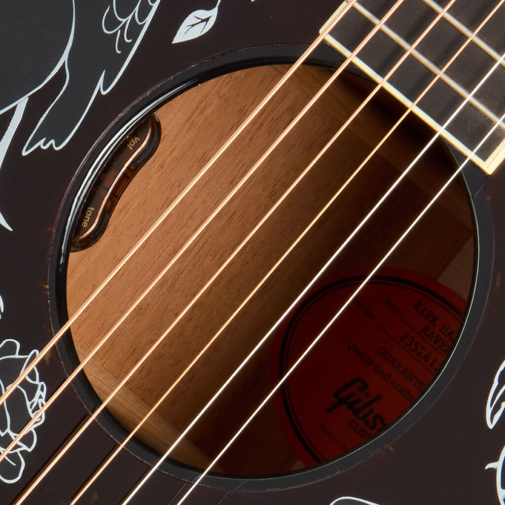 サウンドホール内に配置されたコントロール