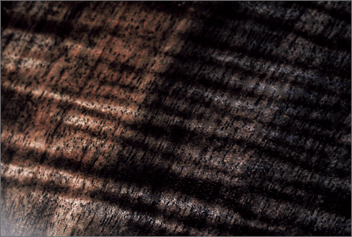 ボディ・トップの塗装