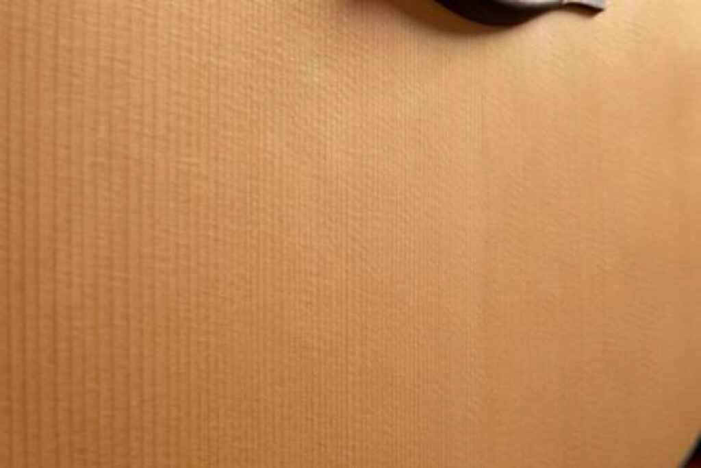 アディロンダック・スプルースのボディ・トップ