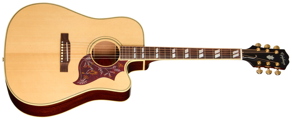 Epiphone / Hummingbird Standard EC（Natural）