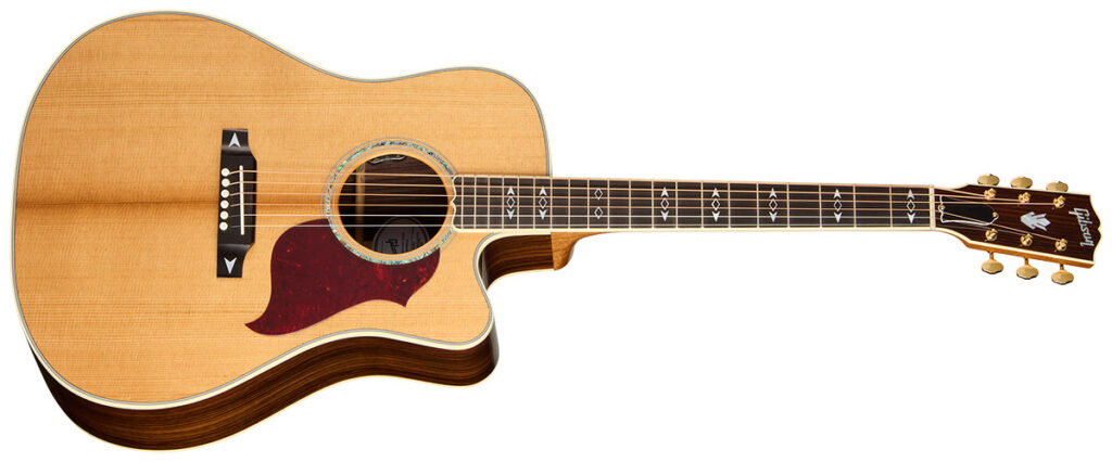 Songwriter Recording Artist EC（Antique Natural）