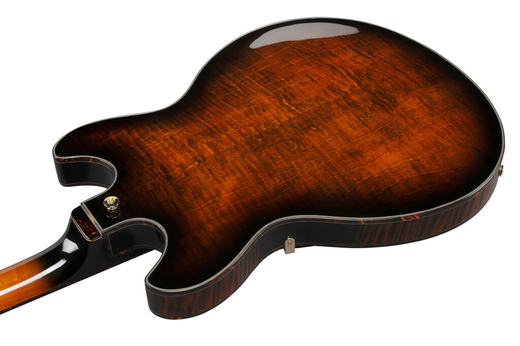 Ibanez / ASH300