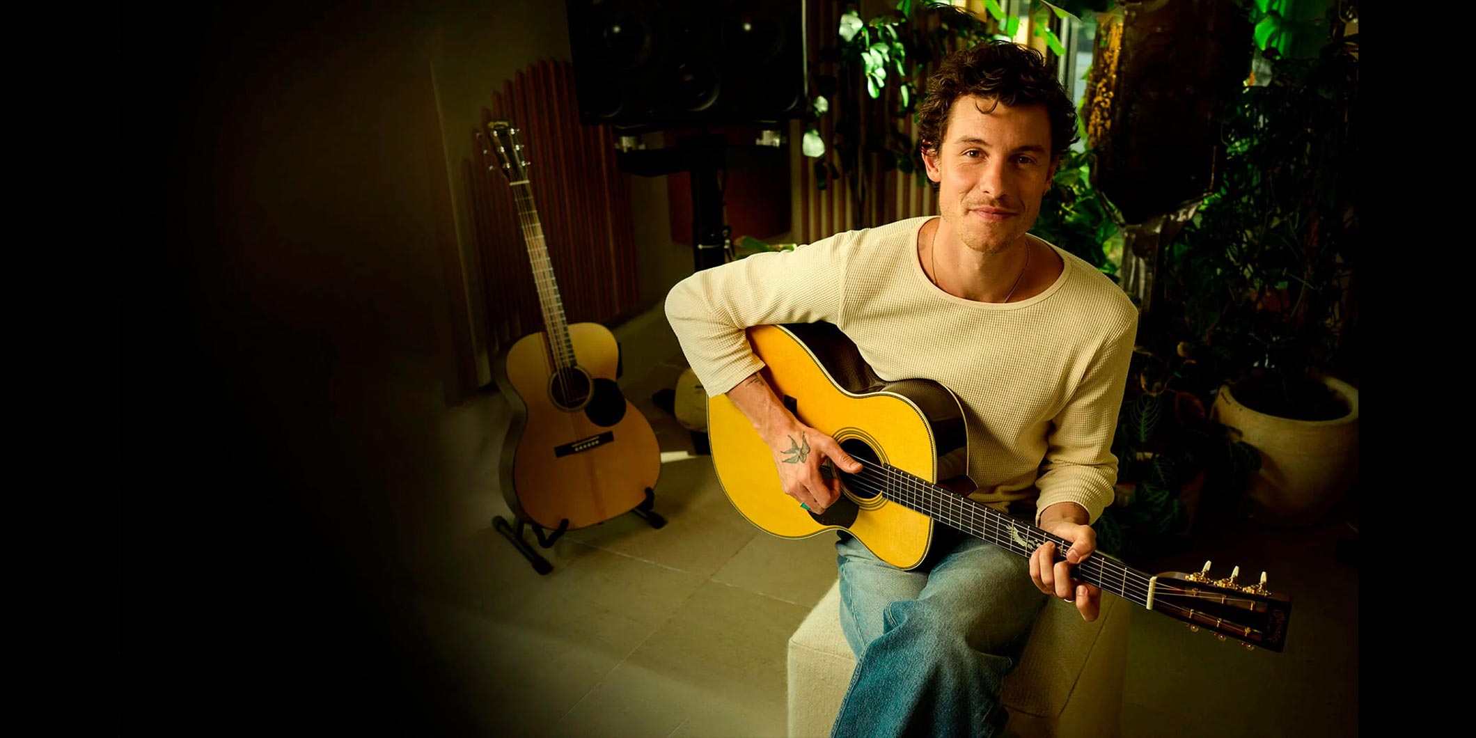 マーティンより、ショーン・メンデスの新シグネチャー・ギターが2モデル発売
