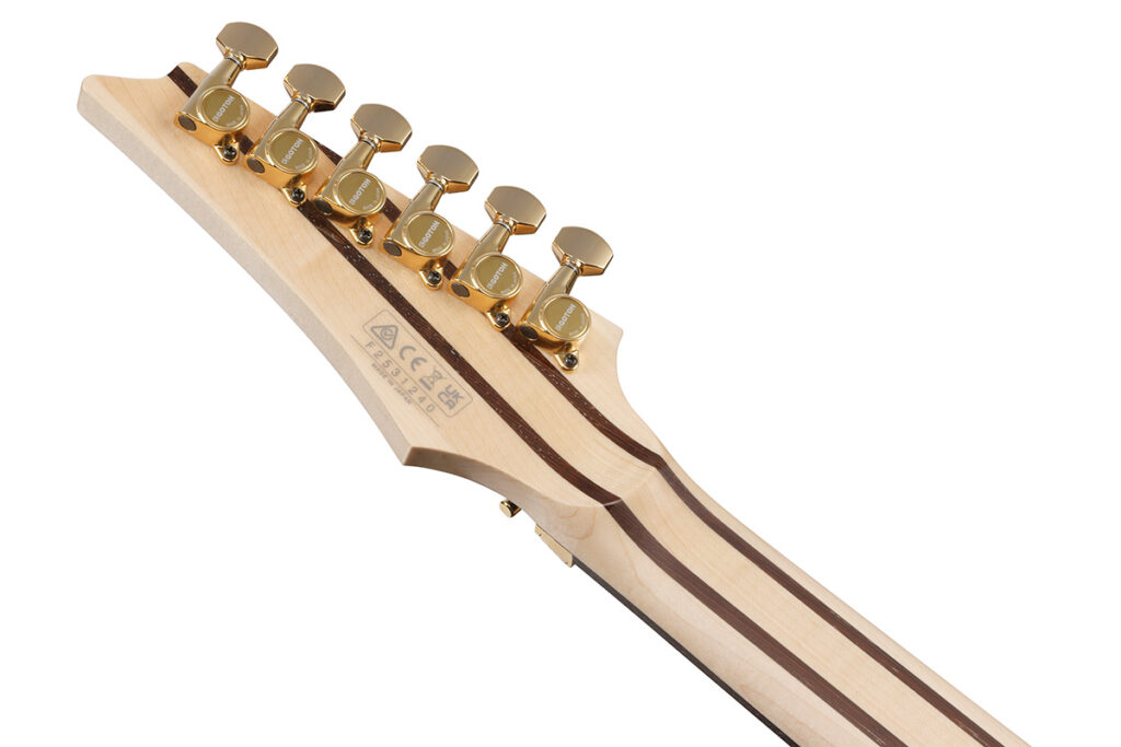 Ibanez / RG8570MH-NT