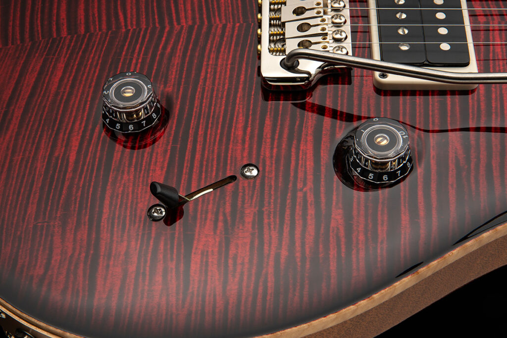 PRS Guitars Custom 24 / “Birds of a Feather” Limited Edition