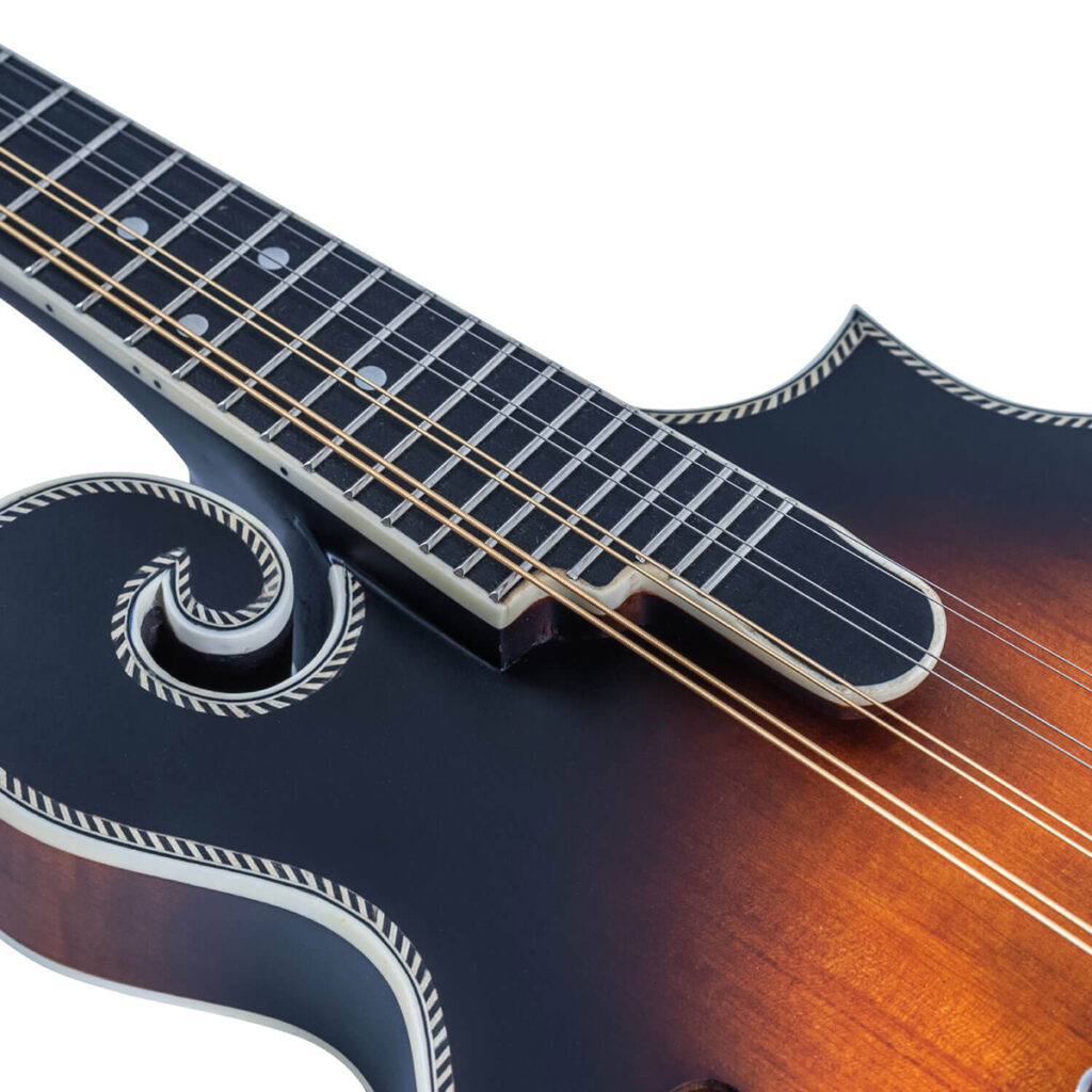 Washburn / M3SE