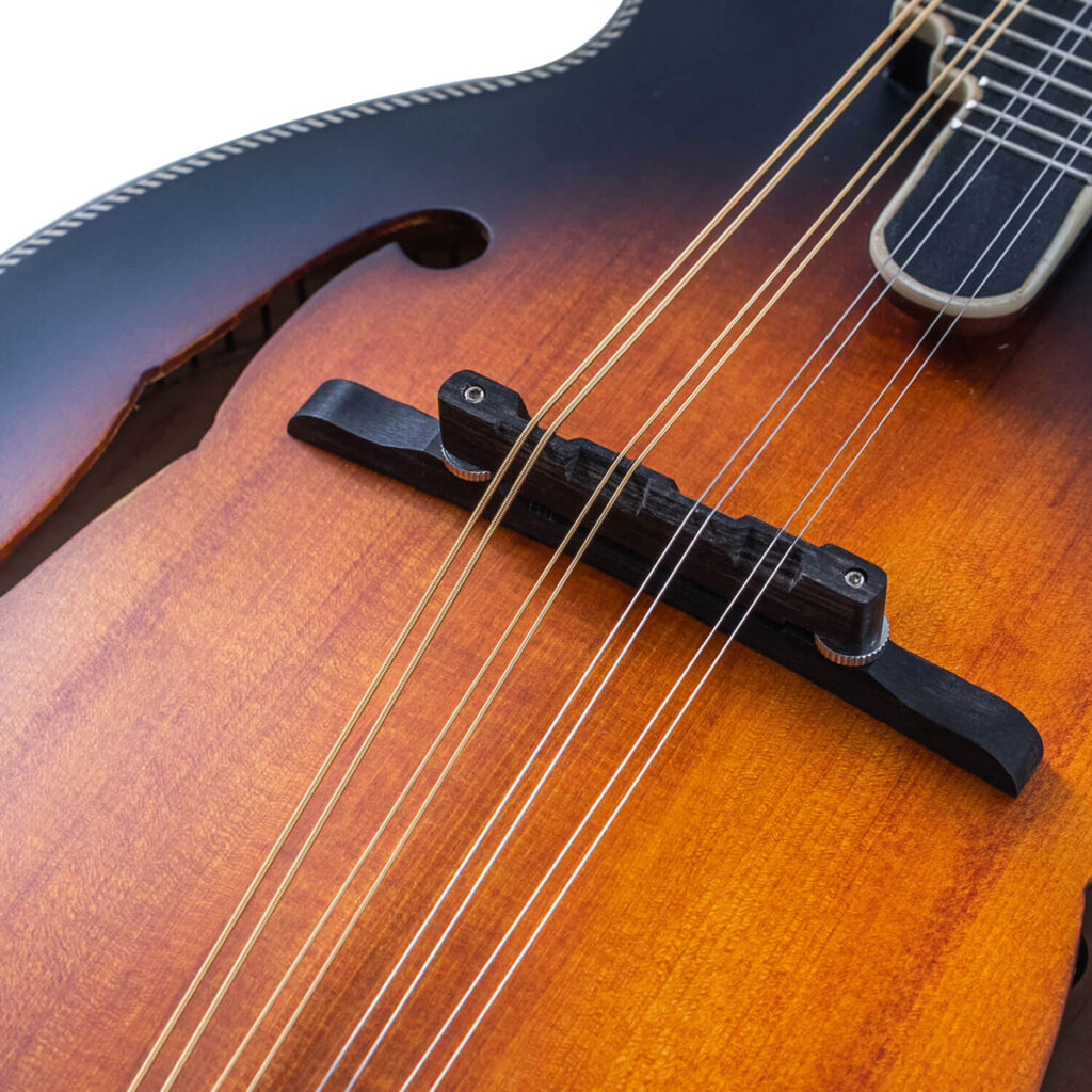 Washburn / M3SE