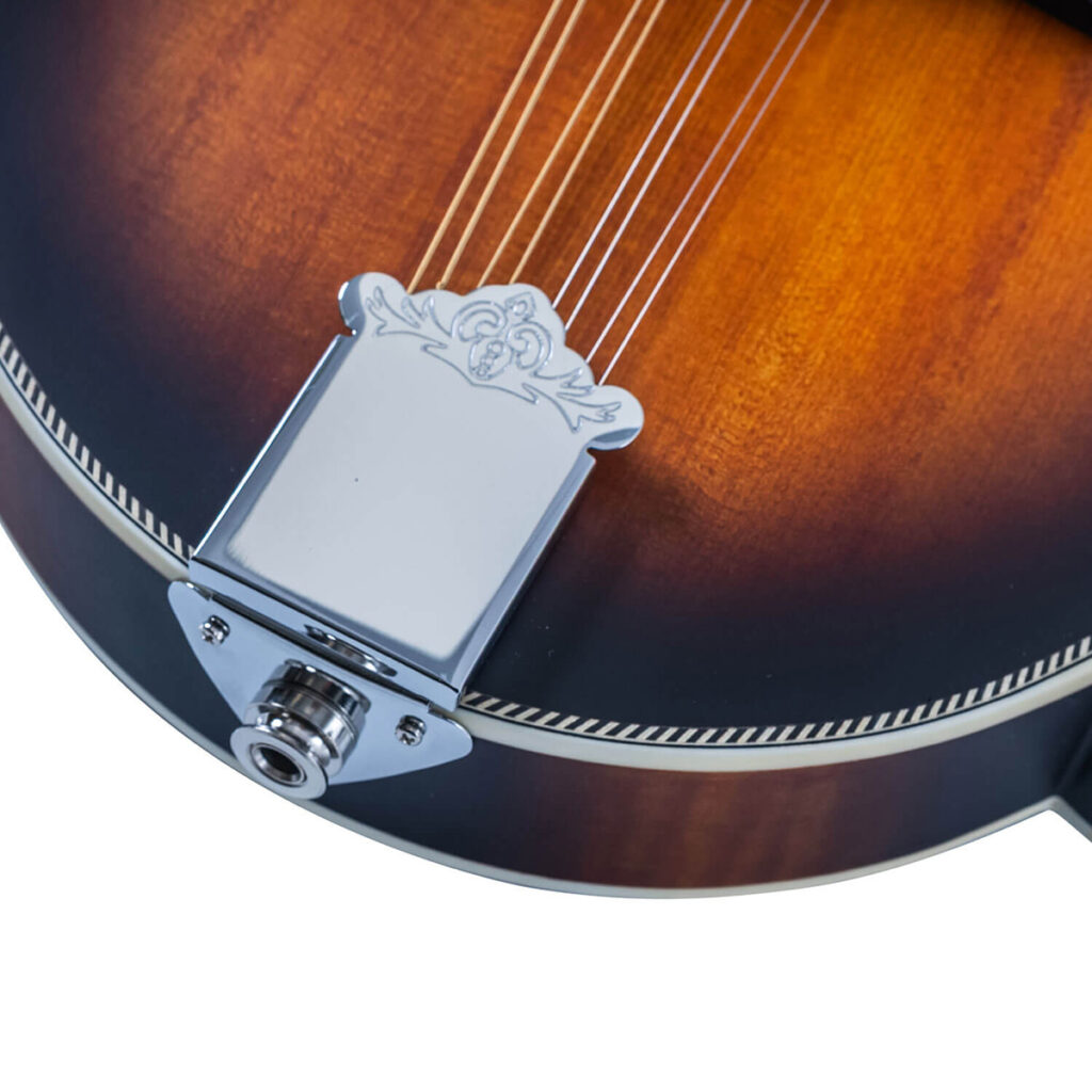 Washburn / M3SE