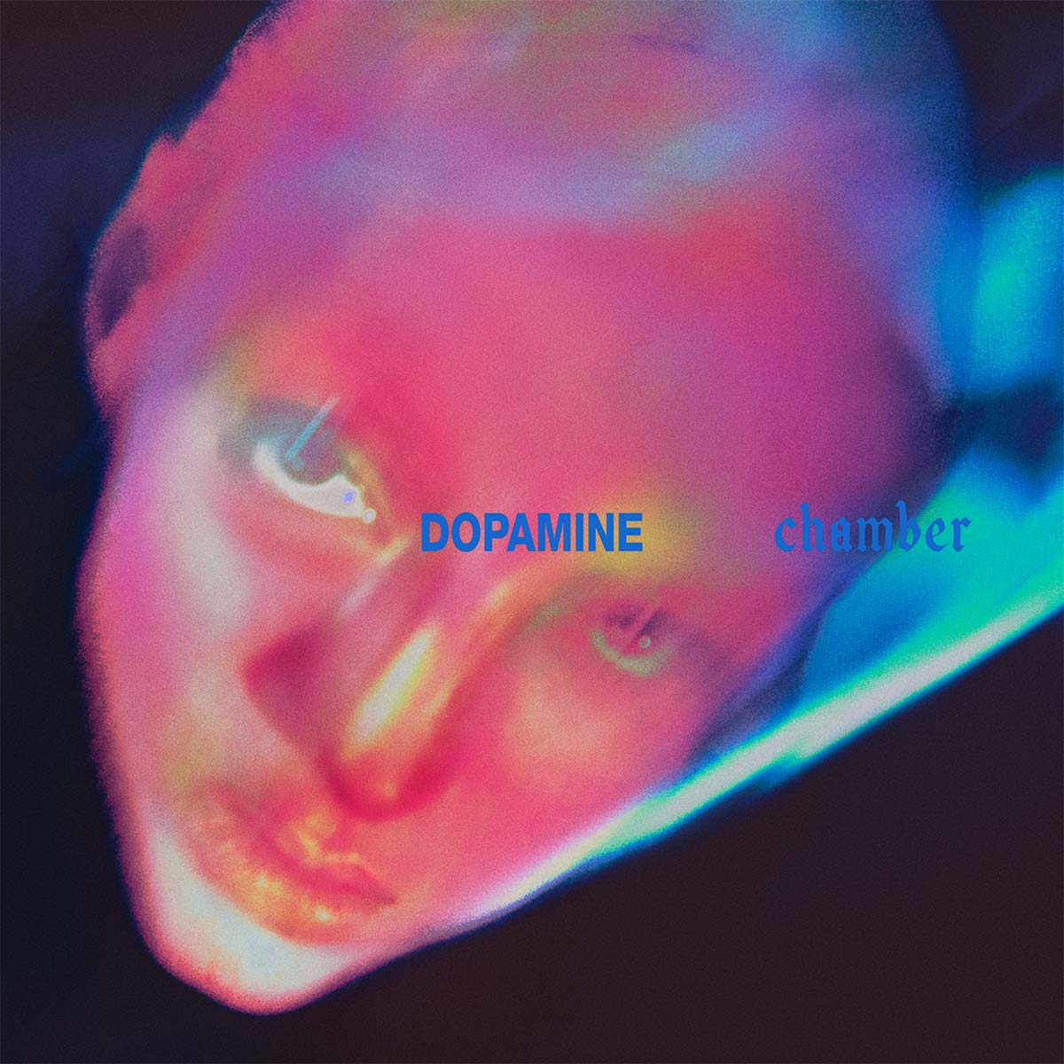 『Dopamine Chamber』