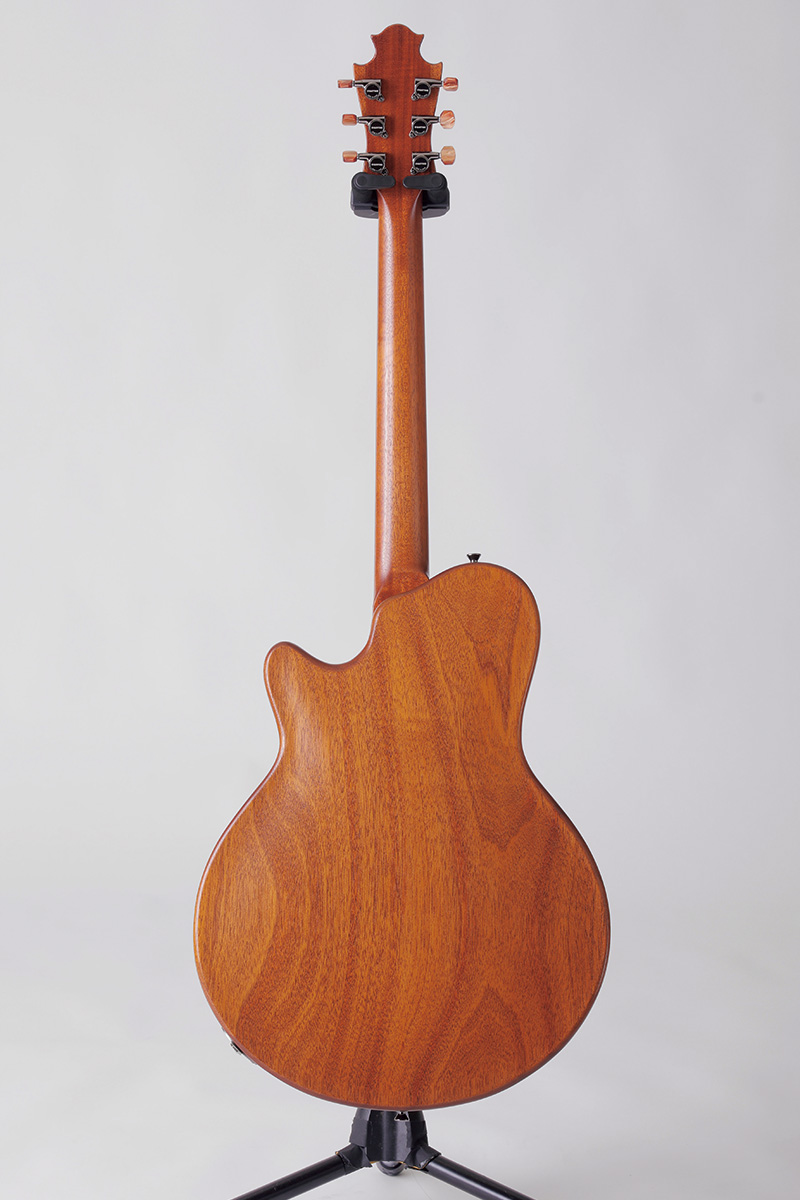 Nishgaki Guitars / Arcus Forma - Organic Texture(裏面)